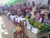 Fotos de la IX Feria de la Chirimoya - Mayo 2016