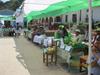 Fotos de la IX Feria de la Chirimoya - Mayo 2016